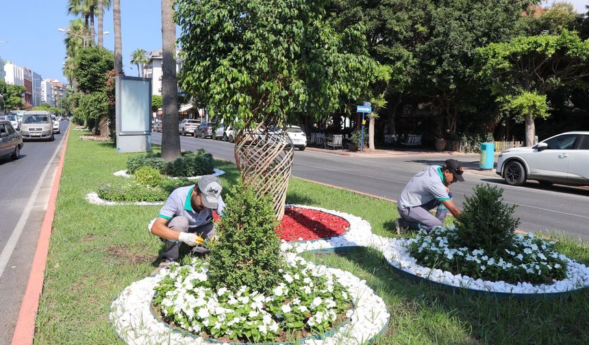 Alanya Belediyesi Yeşil Alanlarda Bakım Seferberliği Başlattı