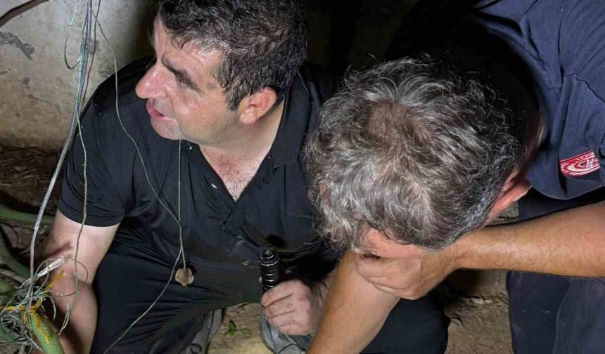 30 metrelik sondaj kuyusuna düşen yavru kedi itfaiyenin 5 saatlik film gibi operasyonu ile kurtarıldı