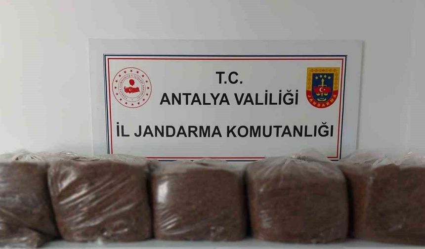 Alanya ve Demre'de 285 kilo kaçak tütün ele geçirildi