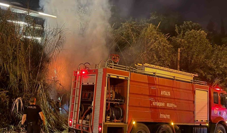 Alanya'da sazlık alanda yangın