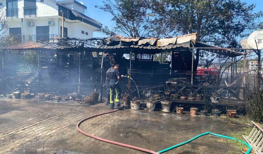 Antalya'da baraka yangında küle döndü, alevler villa ve lojmanlara sıçramadan söndürüldü
