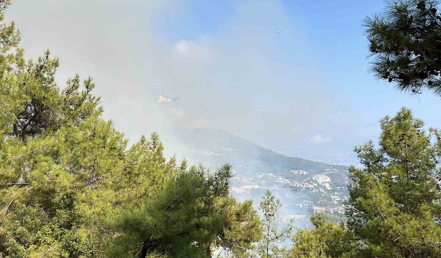 Antalya'da iki ilçede çıkan orman yangınına müdahale ediliyor