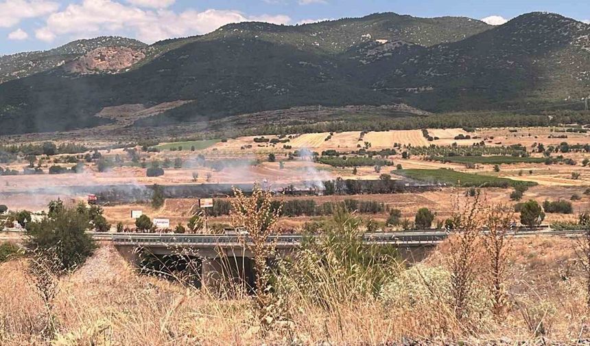 Burdur'da 20 dönümlük otluk alanda yangın