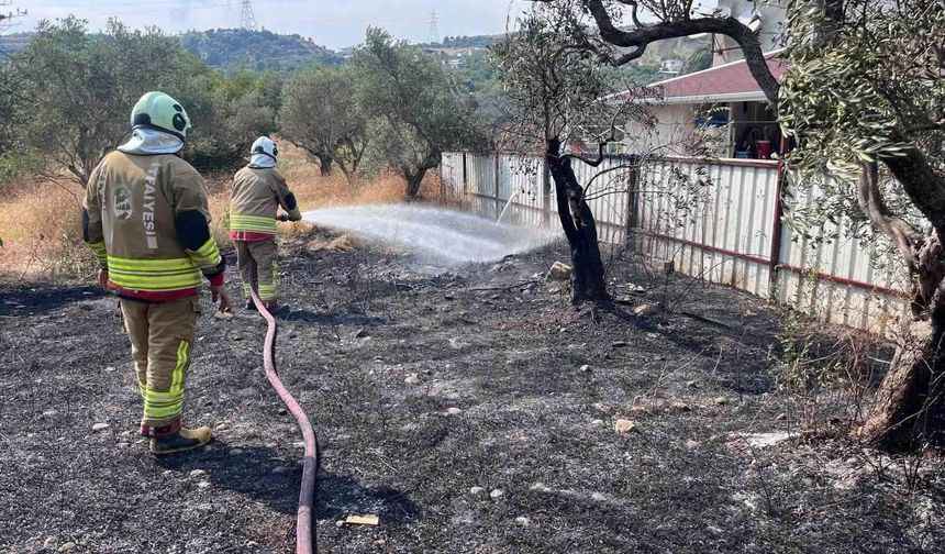 Defne'de zeytinlik alanda yangın yaşandı
