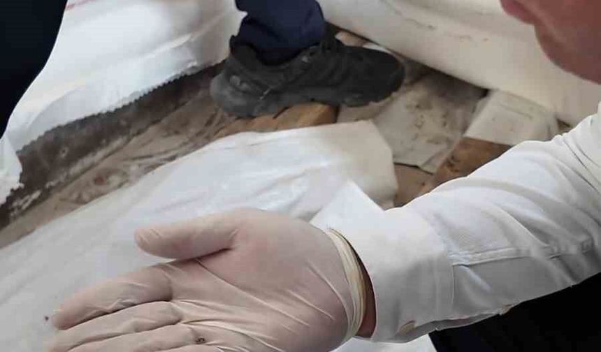 Fare dışkısından ve böcekten geçilmeyen fırındaki dondurucudan paslı keser çıktı