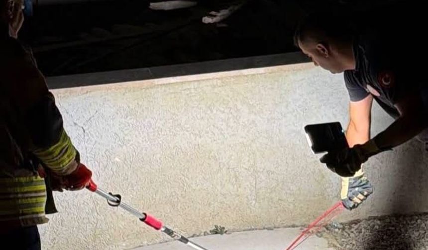 Hatay'da eve giren yılanları itfaiye yakaladı