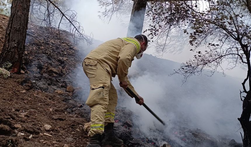 Kahramanmaraş Ahır Dağı'ndaki orman yangınına müdahale sürüyor