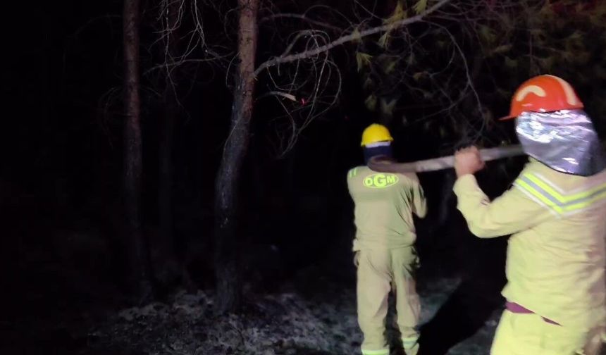 Kaş'taki orman yangını büyük ölçüde kontrol altında