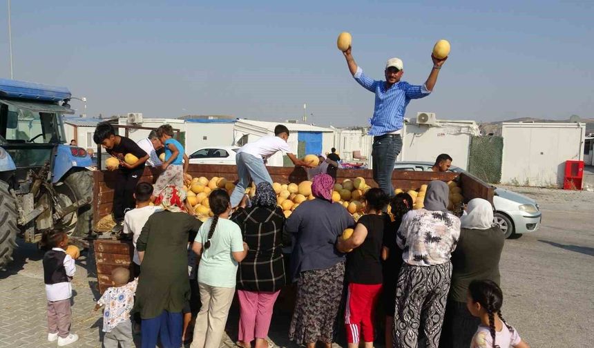 Kavunun tanesini tüccara 5 TL'ye satmak yerine 50 ton kavunu depremzedelere bedava dağıtıyor