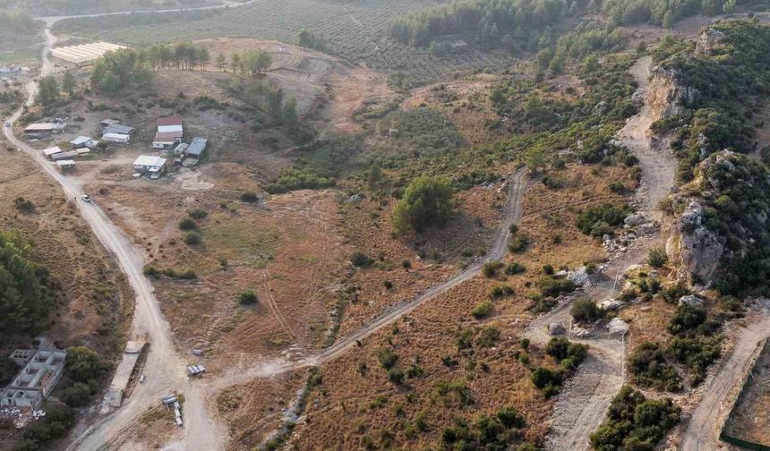 Manavgat'ta sokak hayvanlarına 75 dönümlük yaşam alanı