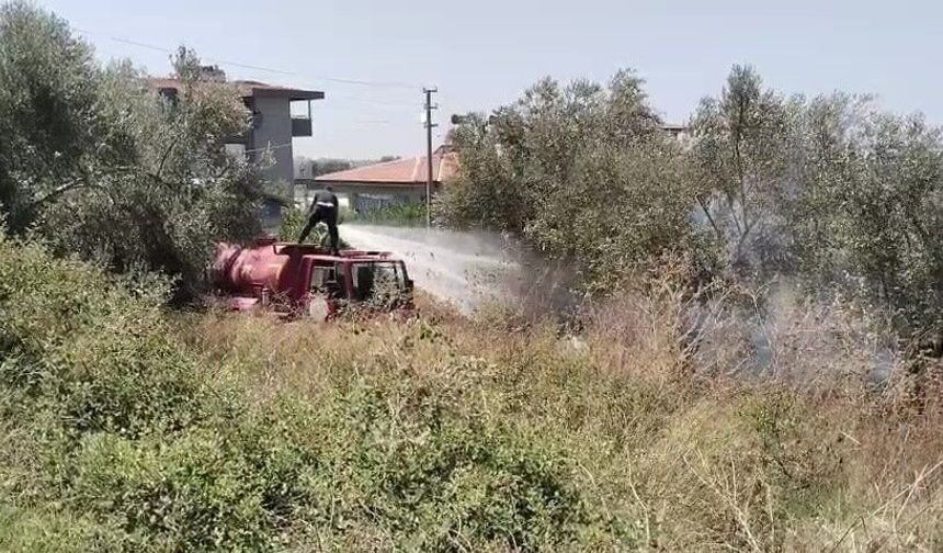 Manavgat'ta tarım arazisinde çıkan yangın söndürüldü