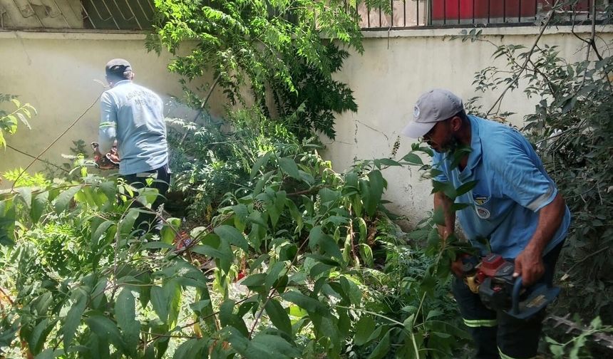 Mersin' de park ve yeşil alanlarda bakım çalışmaları sürüyor
