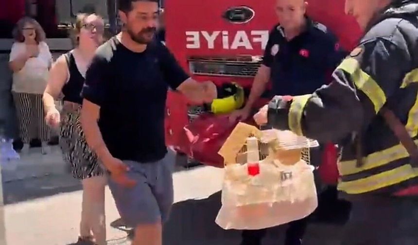 Mersin'de yangında mahsur kalan cennet papağanını itfaiye kurtardı
