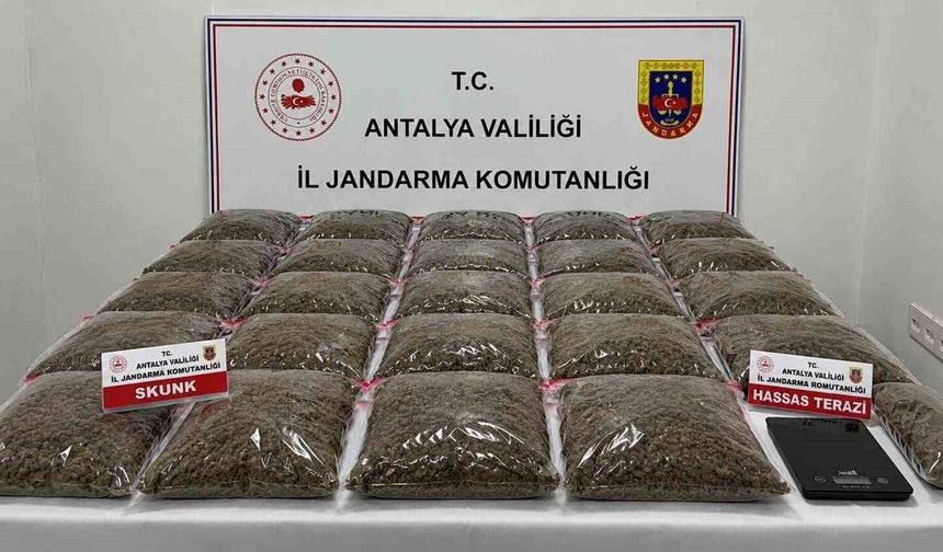 Uyuşturucu operasyonunda 13 şüpheli yakalandı