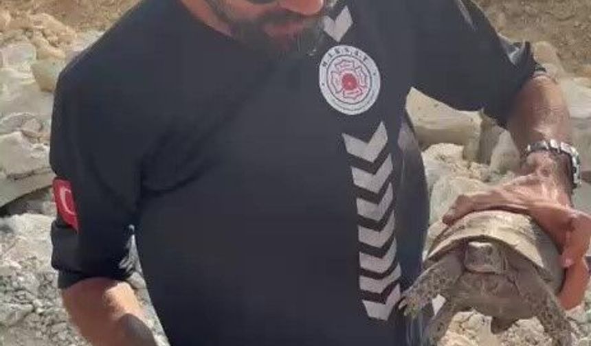 Yangın bölgesinde canlıların tahliyesi için seferber oldular