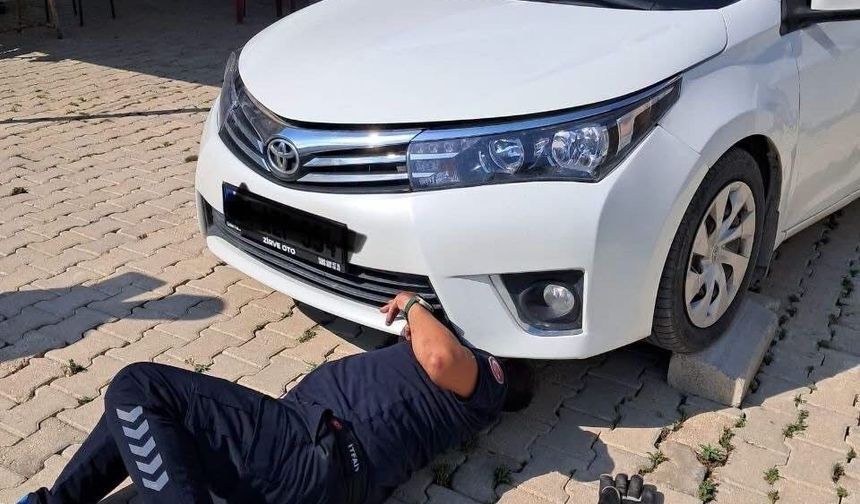 Antakya ve İskenderun'da araçlarda mahsur kalan kediler kurtarıldı