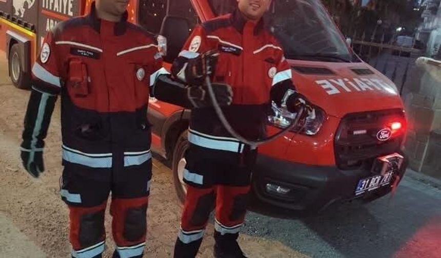 Antakya ve Reyhanlı'da yerleşim yerlerine giren yılanlar yakalandı