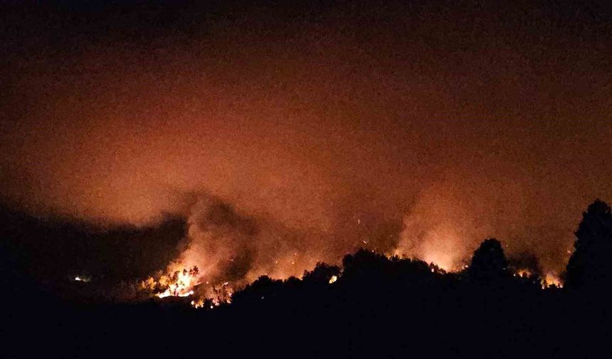 Antalya Serik'teki yangının enerjisi düşürüldü
