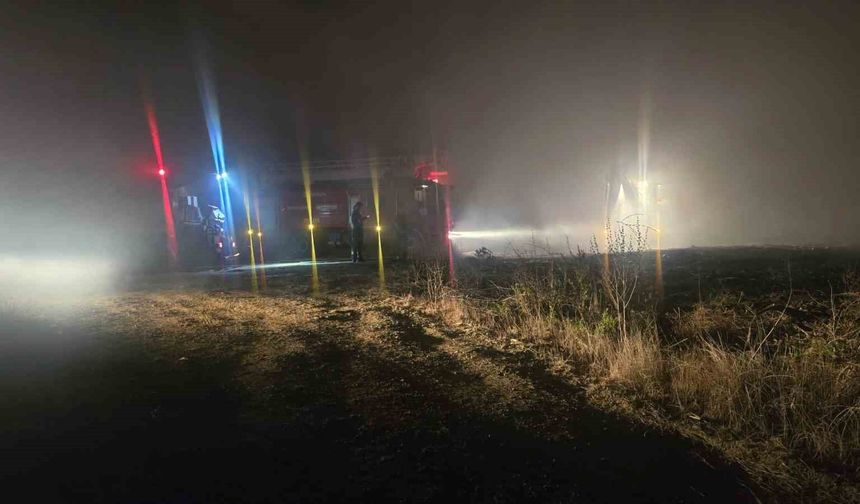 Antalya'da 3 dönüm sazlık alan yangında zarar gördü