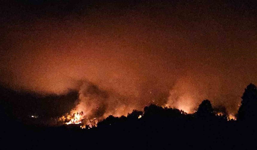 Antalya'daki yangını söndürme çalışmaları sürüyor