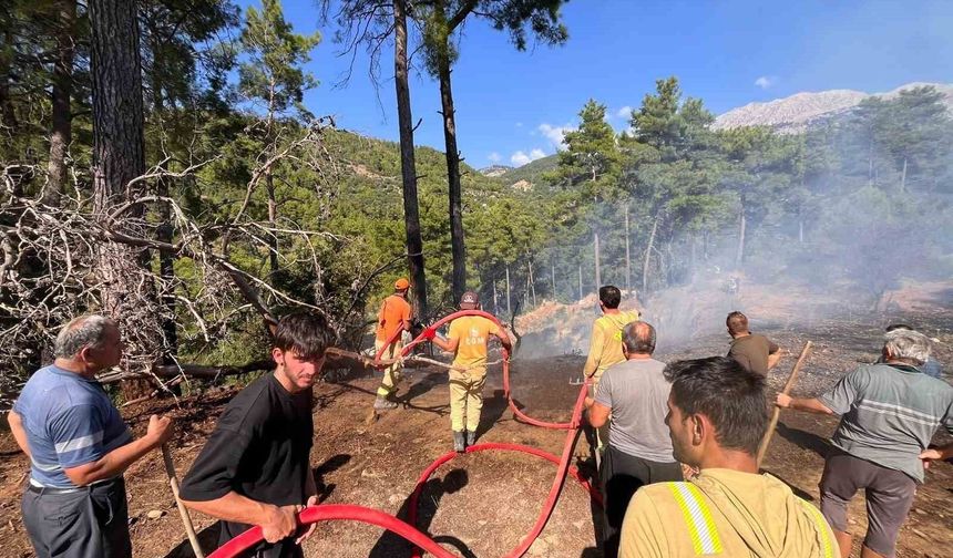 Beşkonak'ta kopan enerji nakil hattı orman yangınına neden oldu
