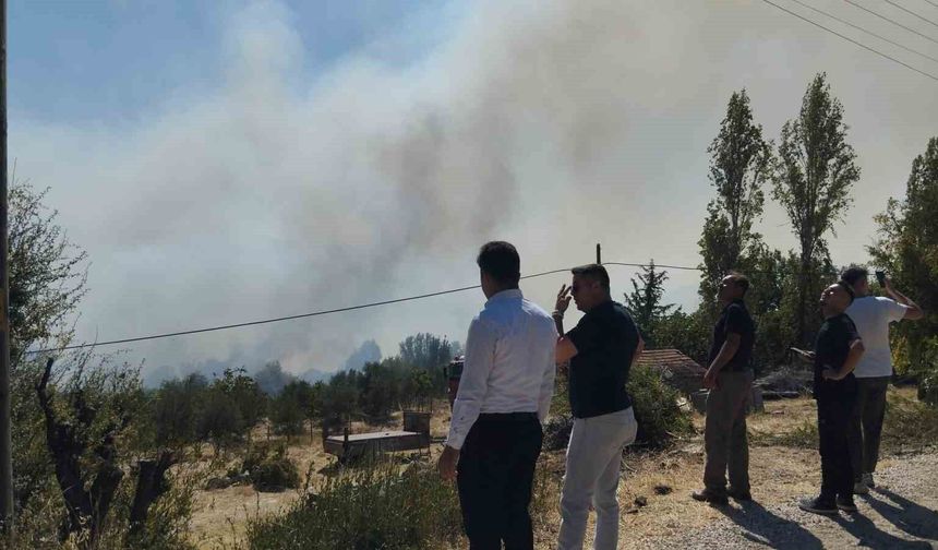 Burdur'da orman yangını