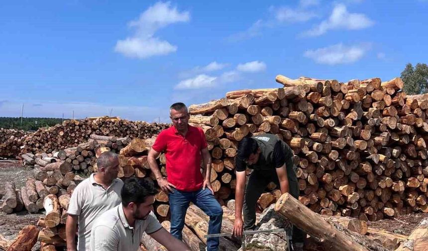 Hatay Orman Bölge Müdürü Günay, İskenderun Sahil Orman Deposu'nda incelemelerde bulundu