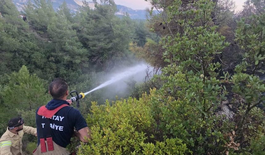 Hatay'da orman yangını çıktı