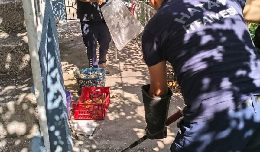 İskenderun'da evin içerisinde görülen yılan yakalandı