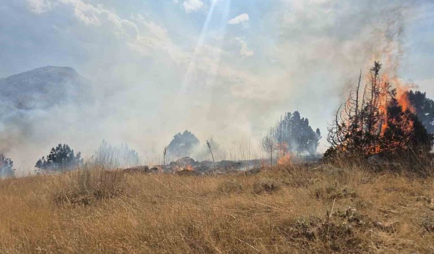 Isparta'da ormanlık alanda çıkan yangın 6 saatte söndürüldü