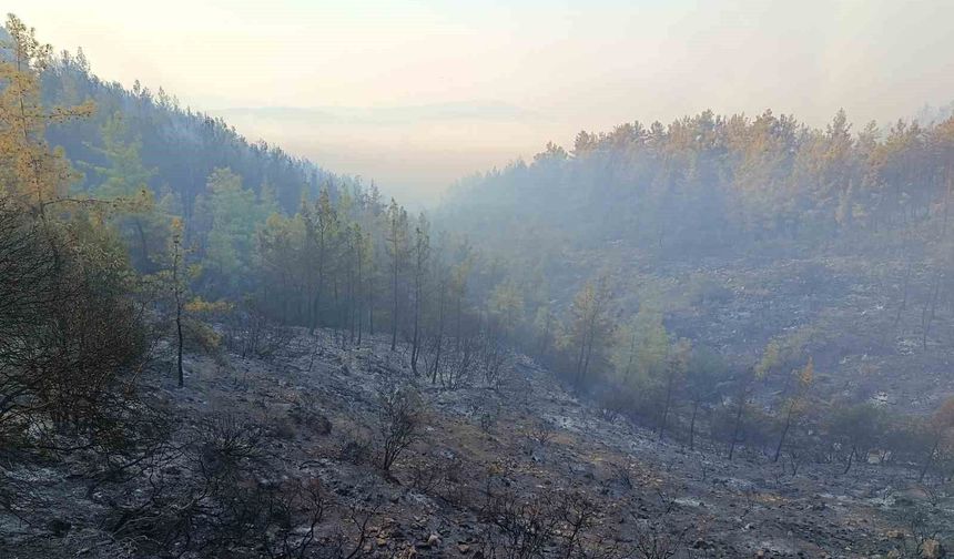 Kumluca'daki orman yangını kısmen kontrol altında