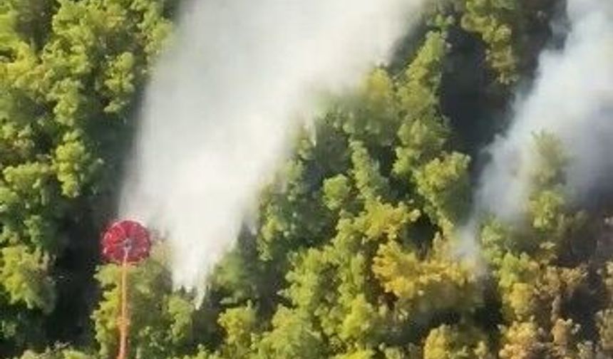Manavgat'taki orman yangını kontrol altına alındı