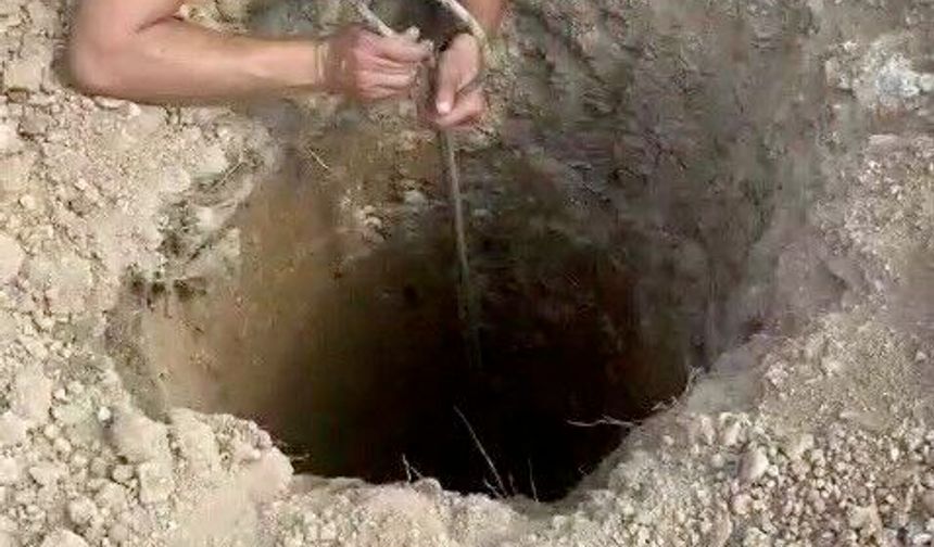 Şantiyedeki kuyuya düşen köpeği itfaiye kurtardı