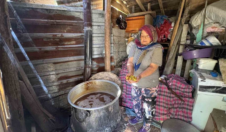 Torosların taş eriği sofralara iniyor 10 kilo erikten 1 kilo ekşi çıkıyor kilogramı 500 liradan satılıyor