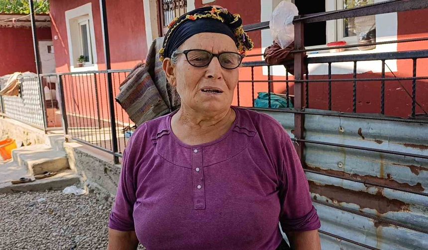 Yangınzedeler o geceyi anlattı: 'Evlerimizi ve hayvanlarımızı kurtarmak için sabaha kadar mücadele ettik'
