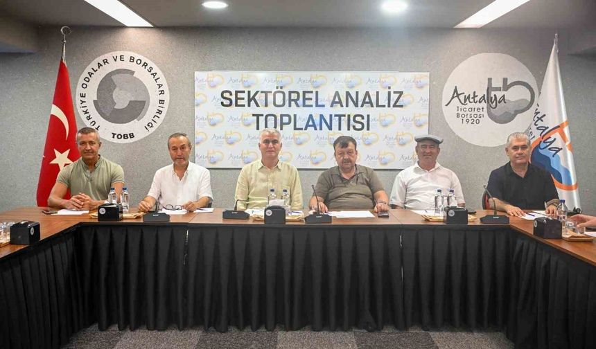 Zeytinde rekolte beklentisi yüzde 40 arttı